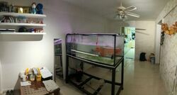 Blk 615 EUNOS GROVE (Bedok), HDB 3 Rooms #564122751